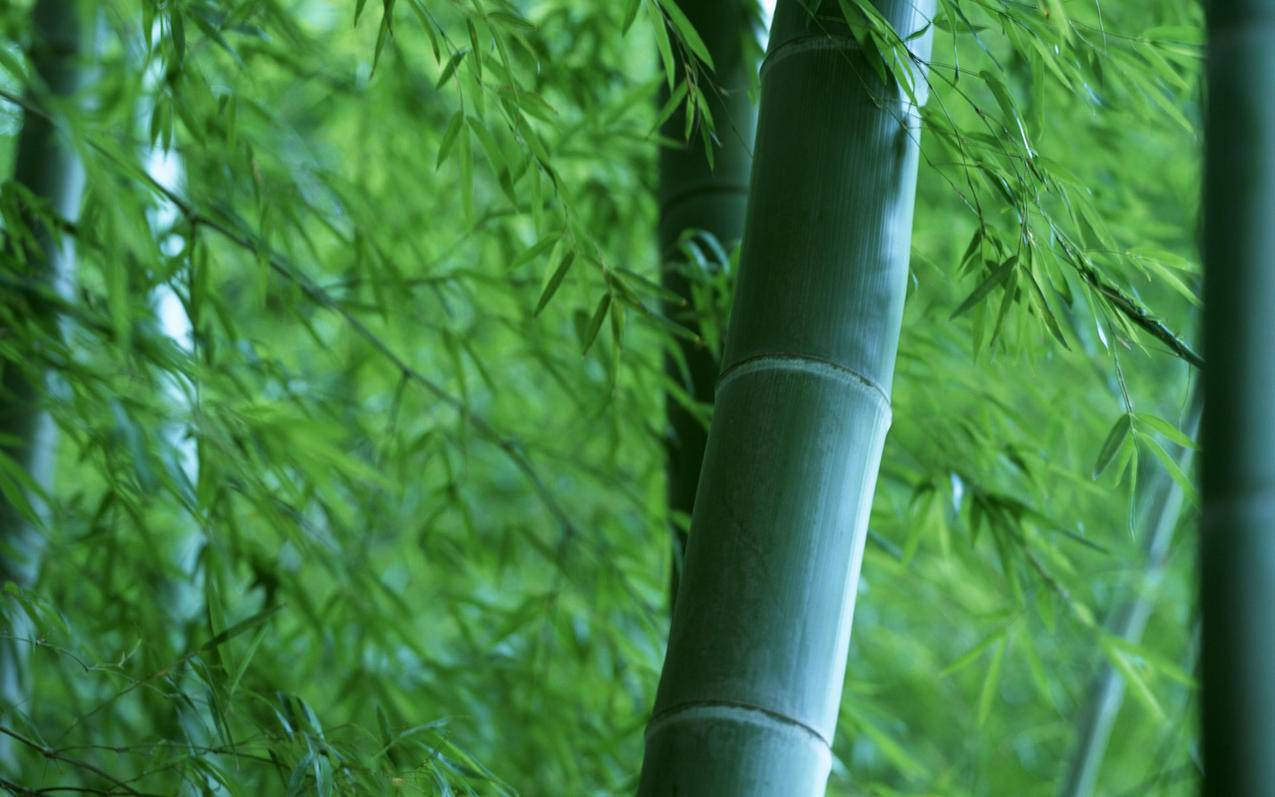 代刷24小时|小红书账号出售网|刷SVIP网永久免费网站不封号